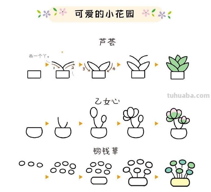 植物简笔画步骤 ​​​
