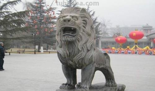 老虎狮子谁更厉害，老虎坐中堂，狮子看大门？