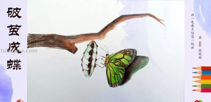 蜡笔画：画画识动物，小壁虎