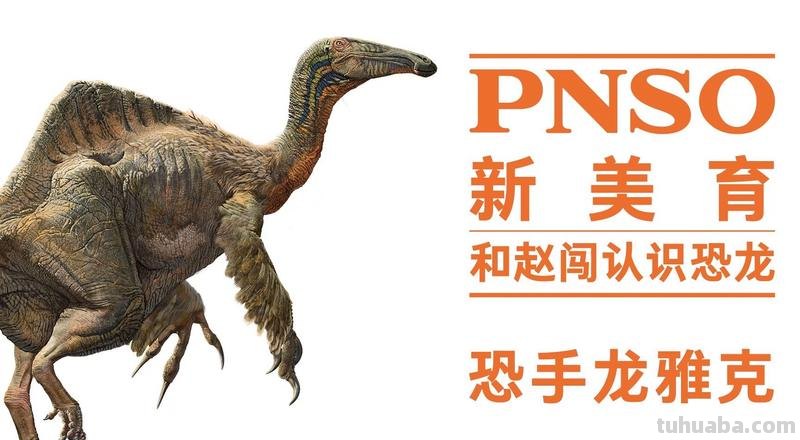 赵闯:画科学优雅的恐龙