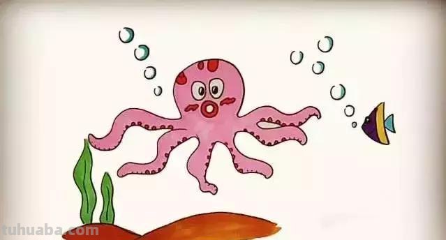简笔画｜儿童简笔画，章鱼的多种画法详细教程，建议为宝宝收藏！