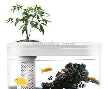 生态设计花鱼共生，画法几何两栖生态鱼缸养鱼更轻松