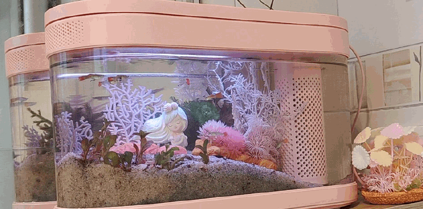 生态设计花鱼共生，画法几何两栖生态鱼缸养鱼更轻松