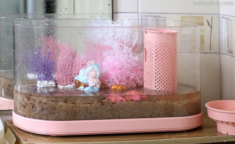 生态设计花鱼共生，画法几何两栖生态鱼缸养鱼更轻松