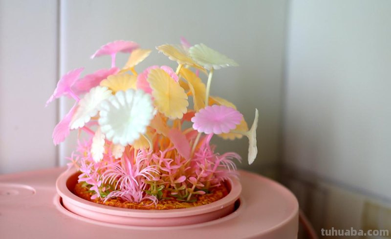 生态设计花鱼共生，画法几何两栖生态鱼缸养鱼更轻松