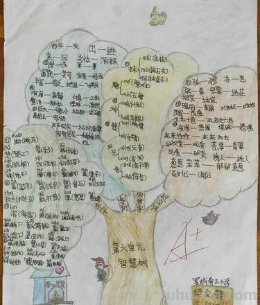 方言思维导图怎么画 思维导图怎么画?