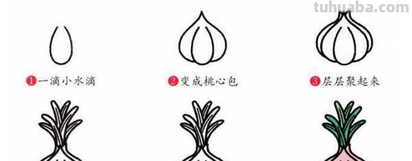 大蒜怎么画简笔画 在家里怎么剪大蒜？