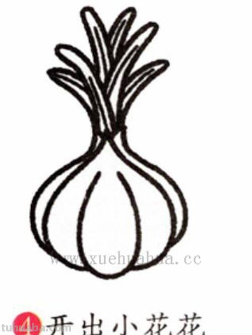 大蒜怎么画简笔画 在家里怎么剪大蒜？