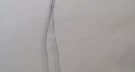 大蒜怎么画简笔画 在家里怎么剪大蒜？