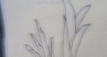 大蒜怎么画简笔画 在家里怎么剪大蒜？