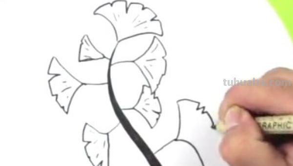 局部银杏速写 三年级画银杏树简单好看？