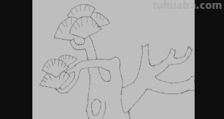 局部银杏速写 三年级画银杏树简单好看？