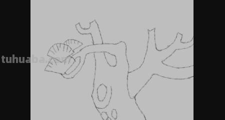 局部银杏速写 三年级画银杏树简单好看？