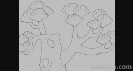 局部银杏速写 三年级画银杏树简单好看？