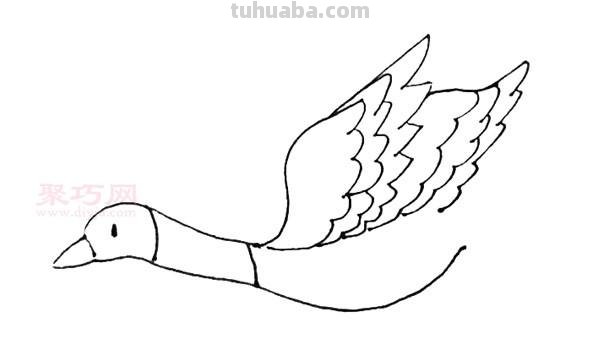 大雁怎么画简笔画 简笔画大雁的画法？