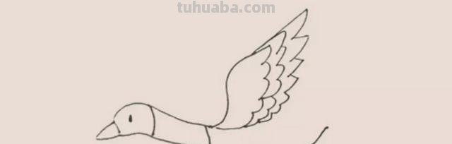大雁怎么画简笔画 简笔画大雁的画法？