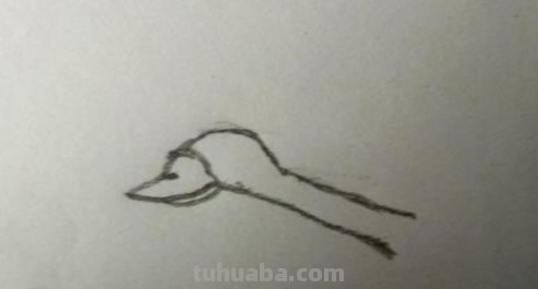 大雁怎么画简笔画 简笔画大雁的画法？