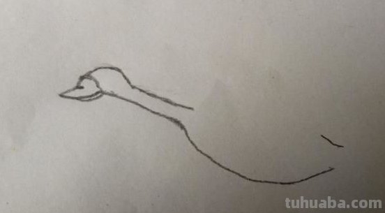 大雁怎么画简笔画 简笔画大雁的画法？