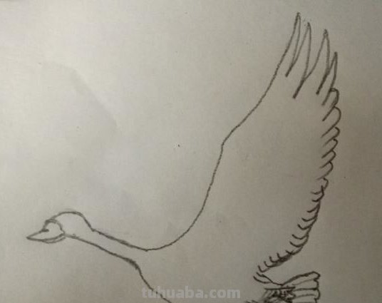 大雁怎么画简笔画 简笔画大雁的画法？