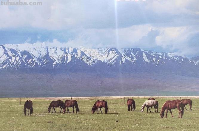 山丹马场二场为200名职工发放读书卡