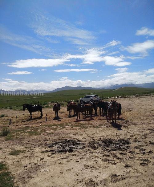 山丹马场二场为200名职工发放读书卡