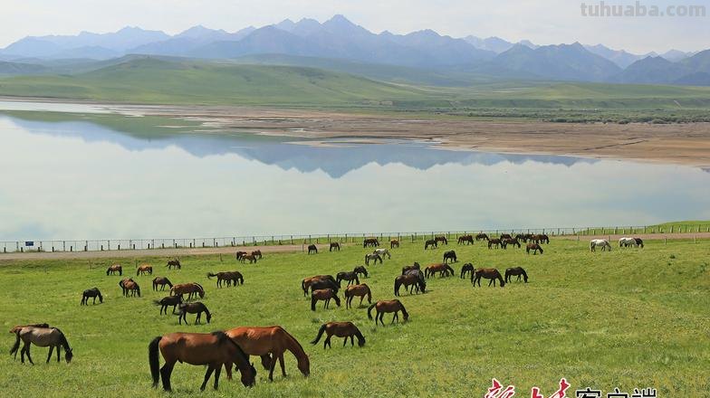 山丹马场二场为200名职工发放读书卡