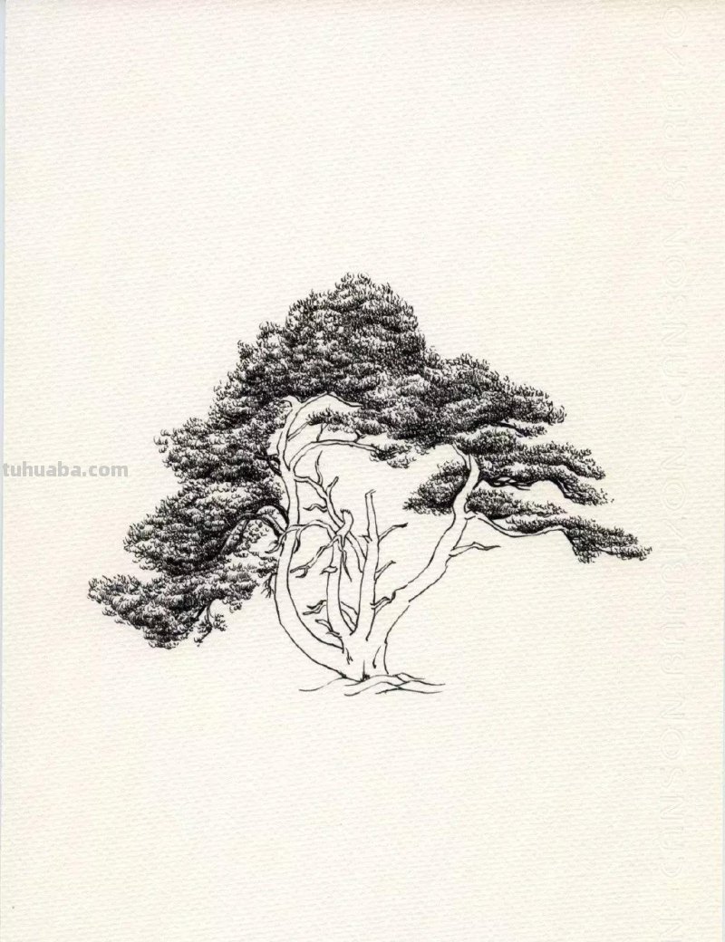 素描教程干货｜工整的风景钢笔速写