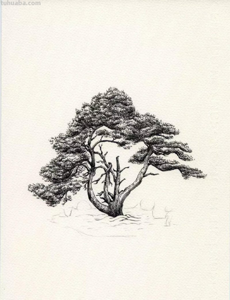 素描教程干货｜工整的风景钢笔速写