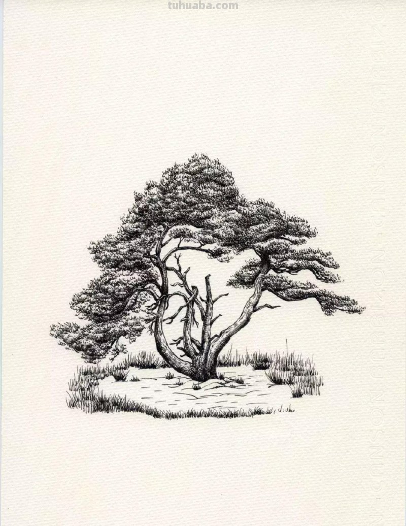 素描教程干货｜工整的风景钢笔速写