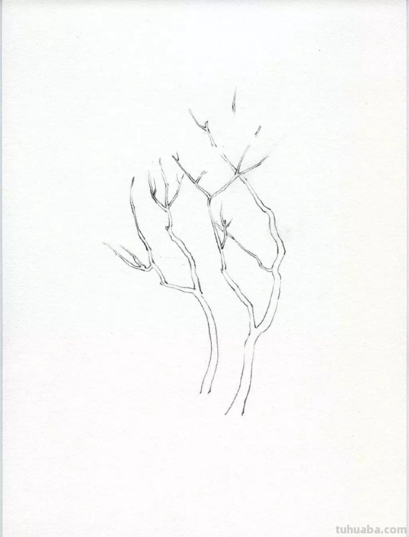 素描教程干货｜工整的风景钢笔速写