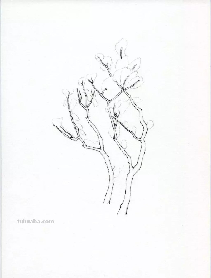 素描教程干货｜工整的风景钢笔速写