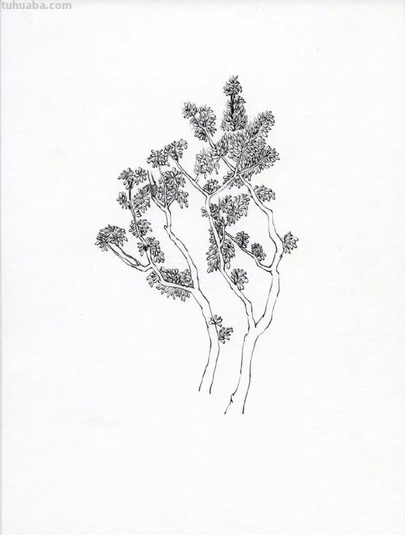 素描教程干货｜工整的风景钢笔速写