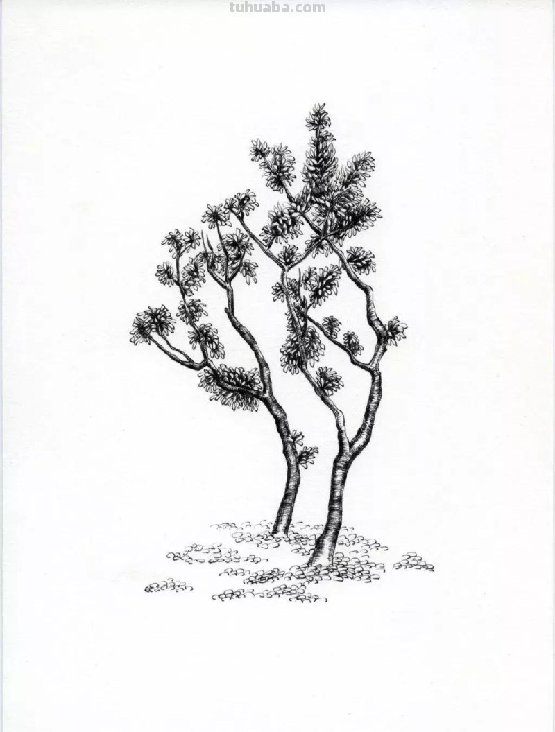 素描教程干货｜工整的风景钢笔速写