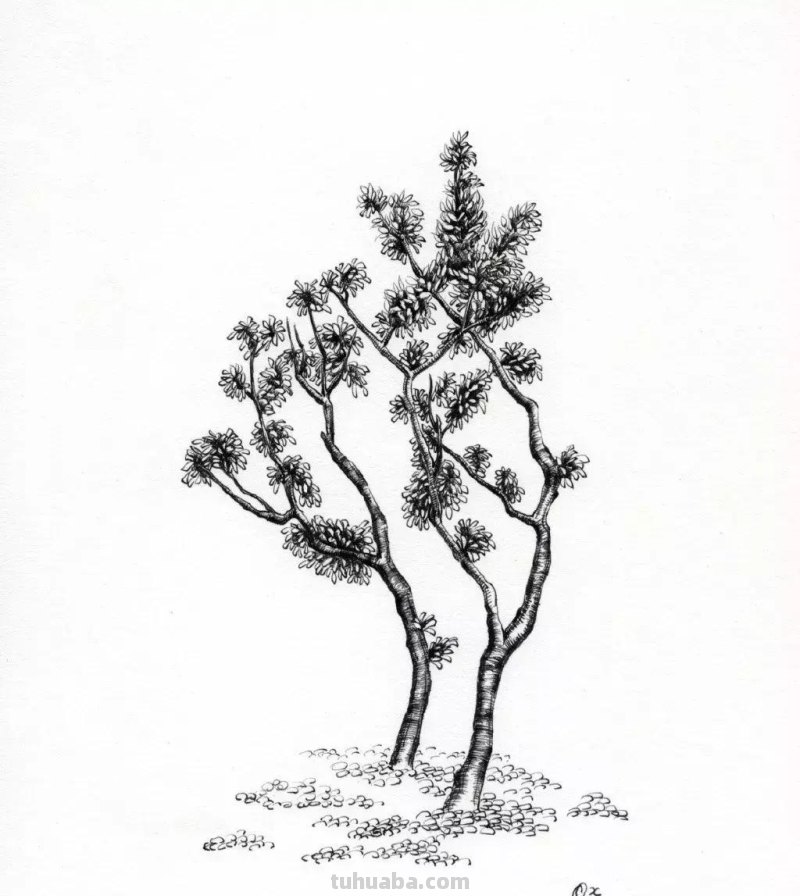 素描教程干货｜工整的风景钢笔速写