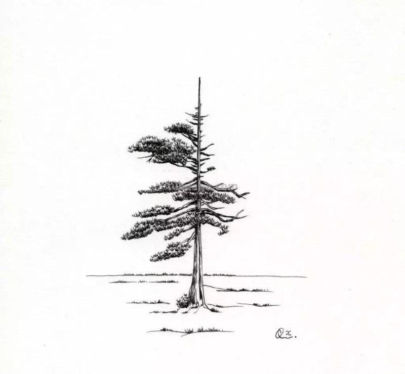 素描教程干货｜工整的风景钢笔速写