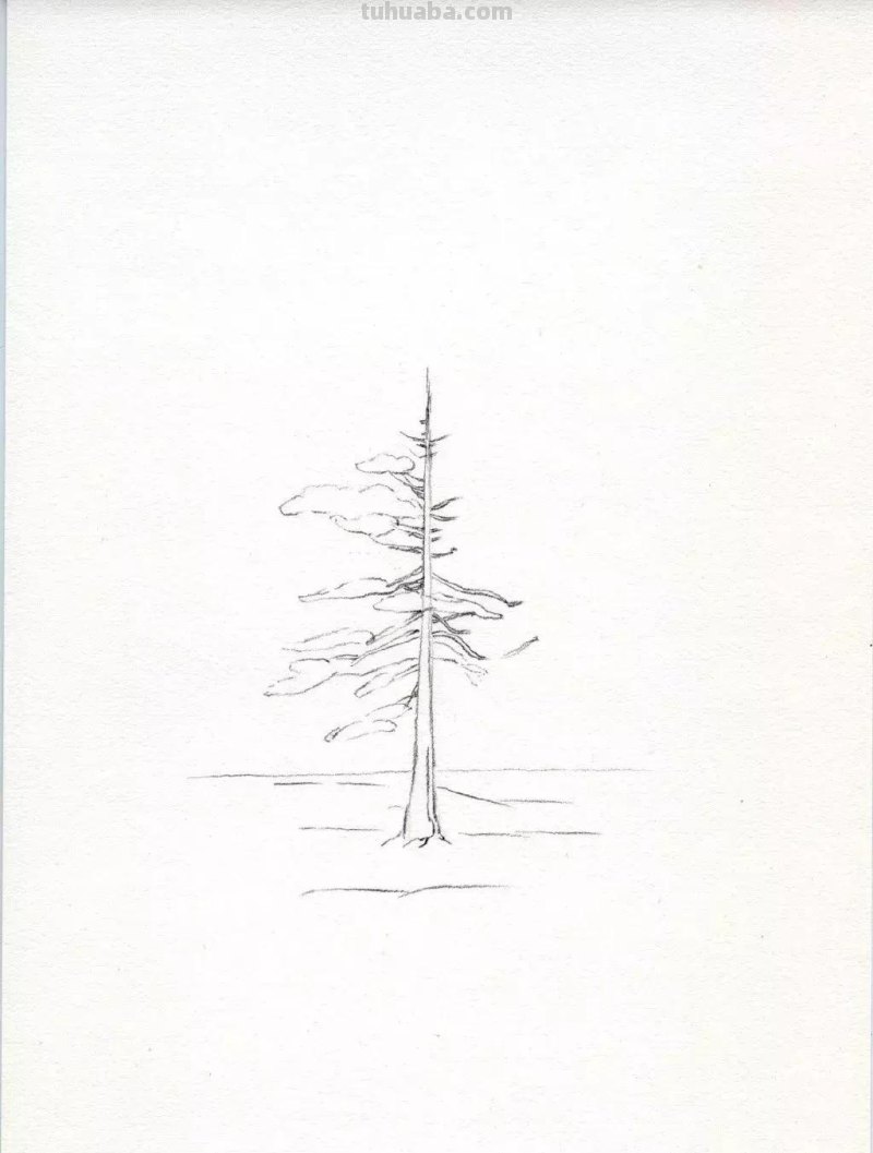 素描教程干货｜工整的风景钢笔速写