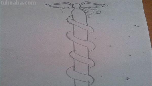 藤条怎么画简笔画 如何画向上爬的藤蔓？