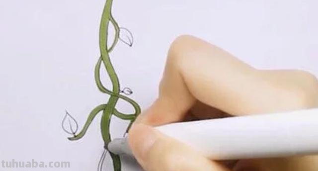 藤条怎么画简笔画 如何画向上爬的藤蔓？