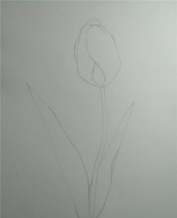 琥珀怎么画用彩铅 画出琥珀的形成过程？