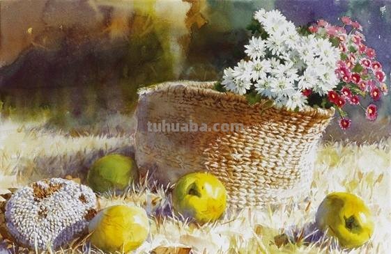 赏心悦目纯美花卉静物水彩画