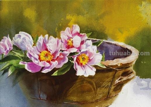 赏心悦目纯美花卉静物水彩画