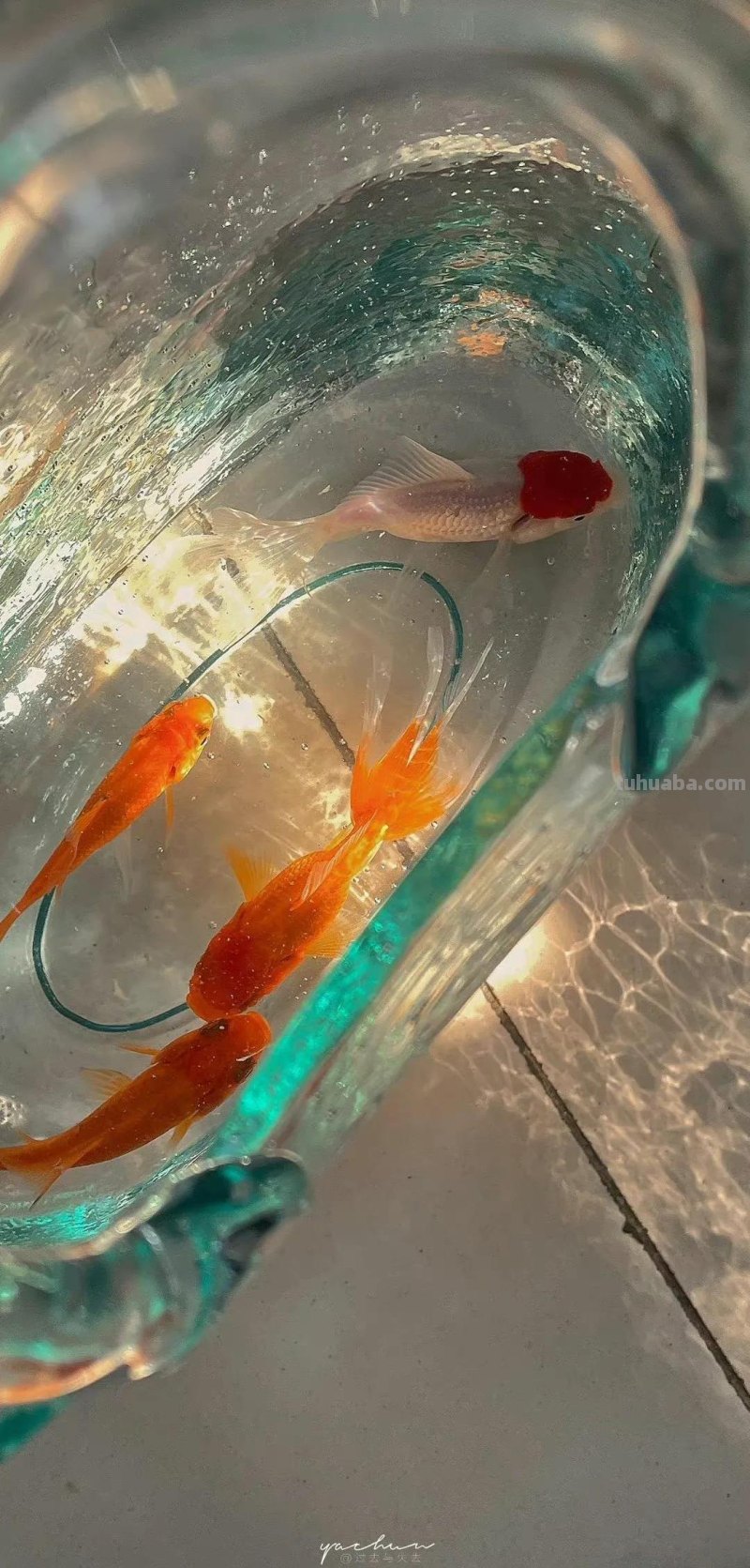 高清动漫壁纸｜可爱极了