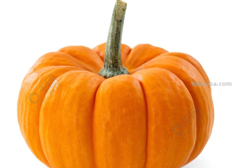 南瓜怎么画简笔画 南瓜怎么画简笔画