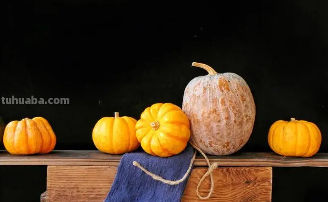 滚动的南瓜怎么画简笔画 滚动的南瓜怎么画简笔画