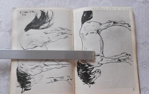 徐悲鸿速写集 徐悲鸿的绘画风格和成就?