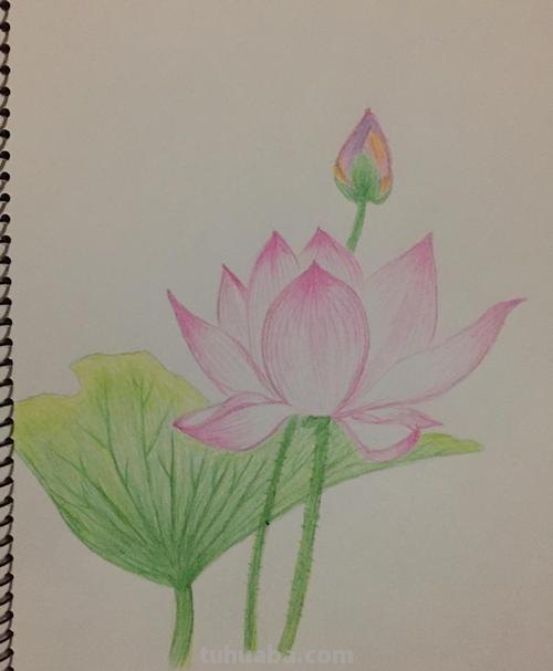 彩铅可以代替什么画 什么画可以用彩色铅笔？