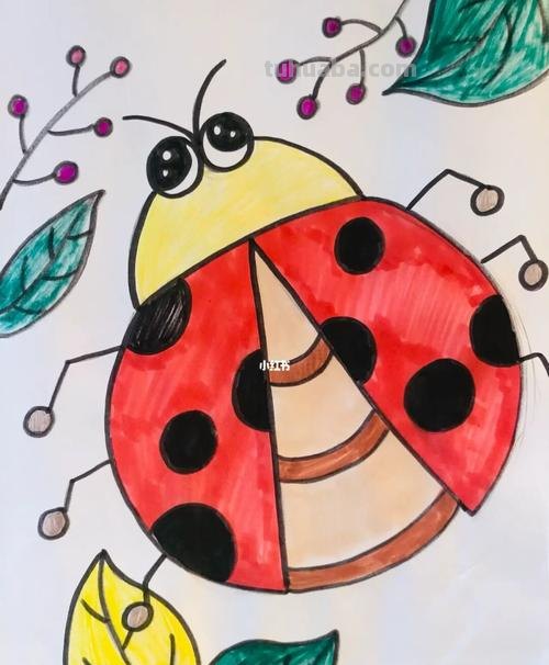 怎样画好看的七星瓢虫 怎样画好看的七星瓢虫图片
