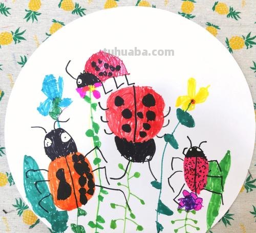 怎样画好看的七星瓢虫 怎样画好看的七星瓢虫图片