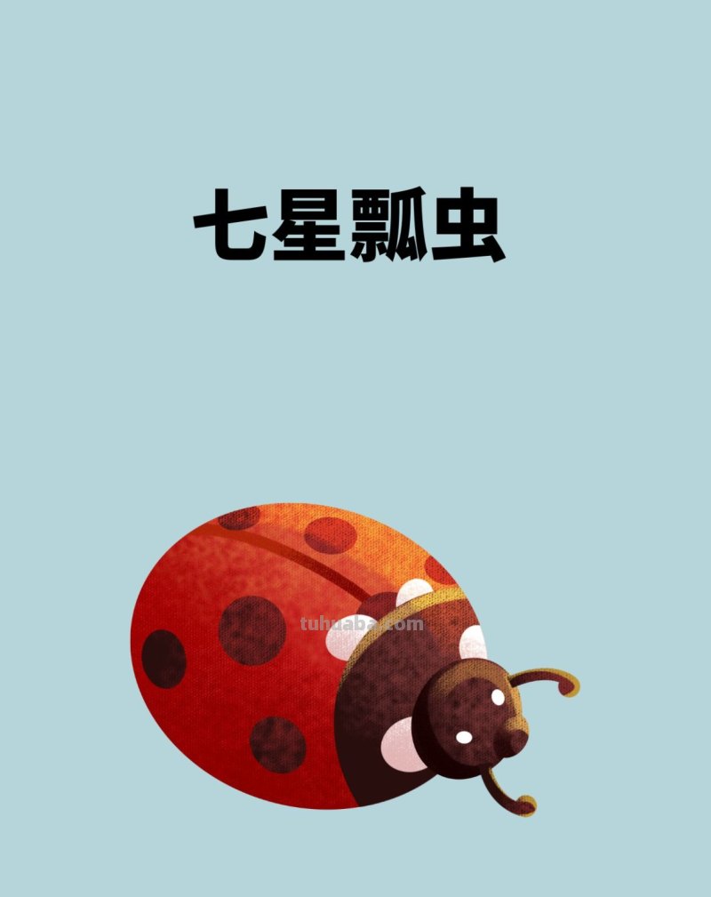 七星瓢虫怎么画简单又好看 七星瓢虫怎么画简单又好看