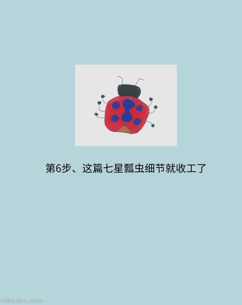 七星瓢虫怎么画简单又好看 七星瓢虫怎么画简单又好看